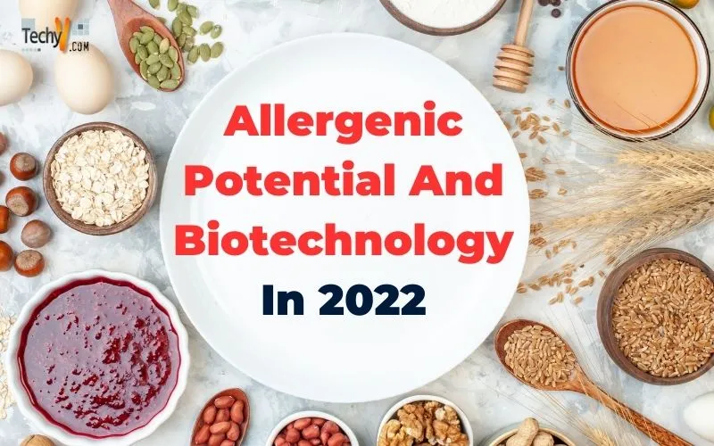 Allergenic Potential And Biotechnology In 2022