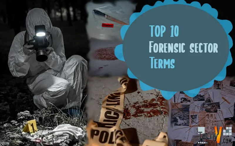 Top 10 Tech Terms Used In  Forensic Sector