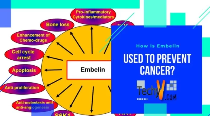 How Is Embelin Used To Prevent Cancer?