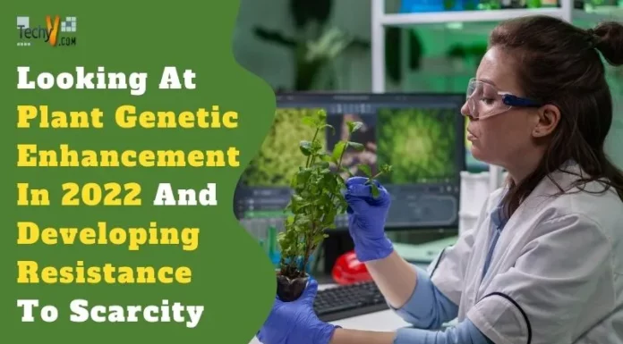 Looking At Plant Genetic Enhancement In 2022 And Developing Resistance To Scarcity