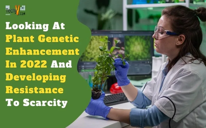 Looking At Plant Genetic Enhancement In 2022 And Developing Resistance To Scarcity