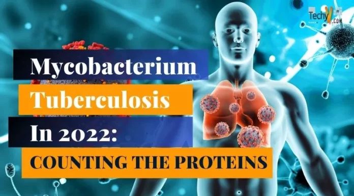 Mycobacterium Tuberculosis In 2022: Counting The Proteins