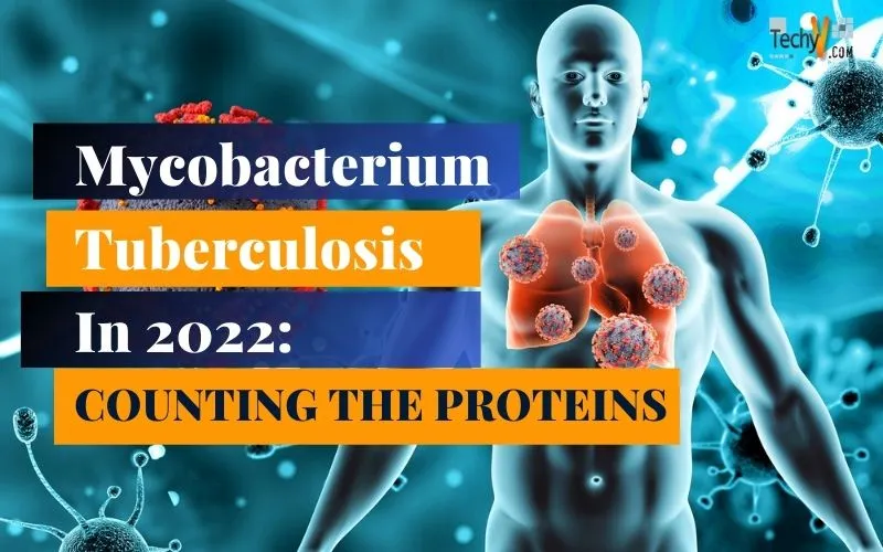 Mycobacterium Tuberculosis In 2022: Counting The Proteins