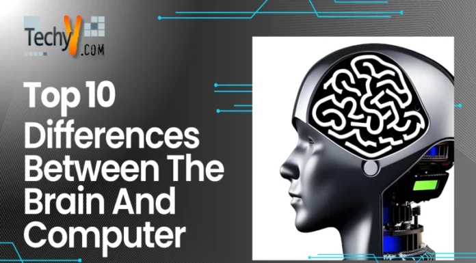 Top 10 Differences Between The Brain And Computer