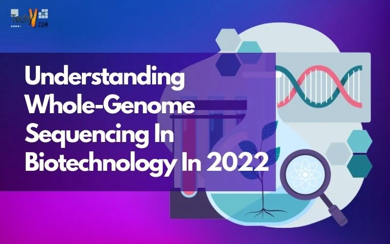 Understanding Whole-Genome Sequencing In Biotechnology In 2022