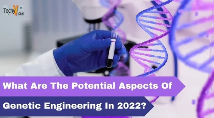 What Are The Potential Aspects Of Genetic Engineering In 2022?