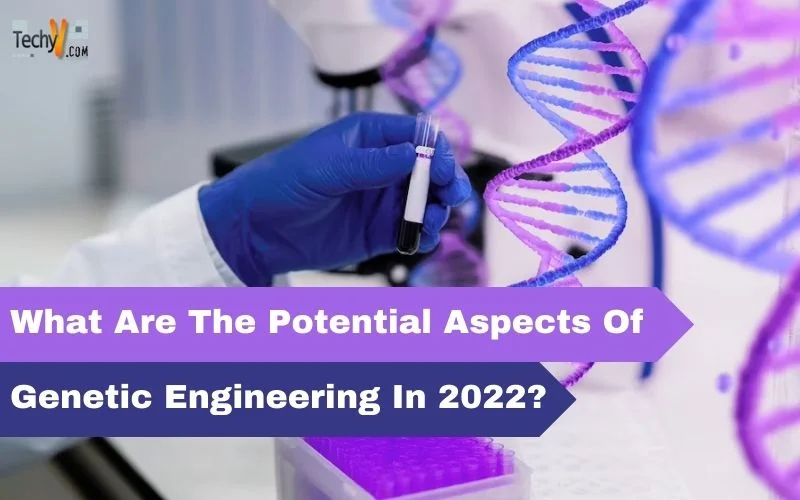 What Are The Potential Aspects Of Genetic Engineering In 2022?