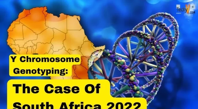 Y Chromosome Genotyping: The Case Of South Africa 2022