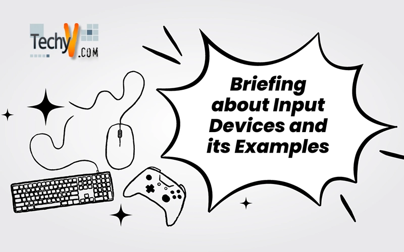 Briefing about Input Devices and its Examples