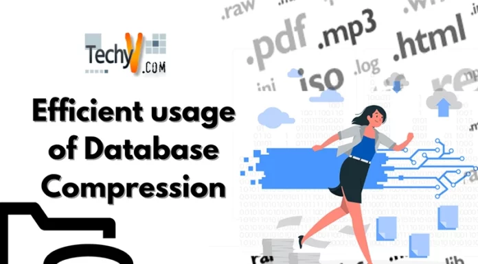 Efficient usage of Database Compression
