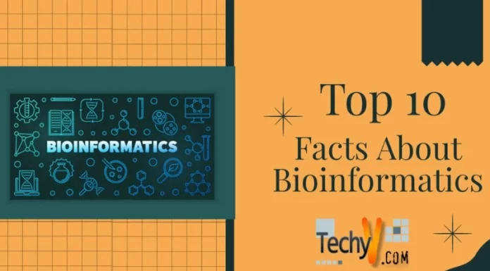 Top 10 Facts About Bioinformatics