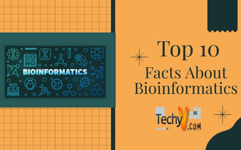 Top 10 Facts About Bioinformatics