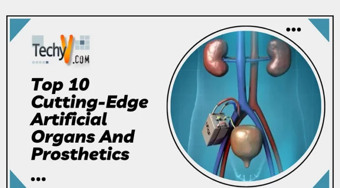 Top 10 Cutting-Edge Artificial Organs And Prosthetics