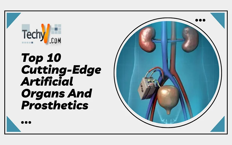 Top 10 Cutting-Edge Artificial Organs And Prosthetics