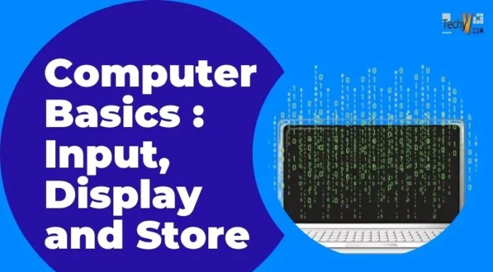 Computer Basics : Input, Display and Store