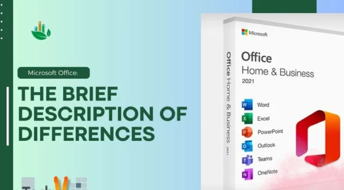 Microsoft Office: The Brief Description of Differences
