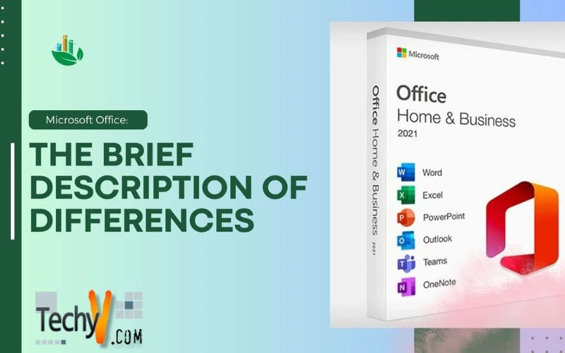 Microsoft Office: The Brief Description of Differences