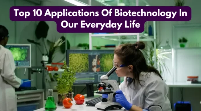 Top 10 Applications Of Biotechnology In Our Everyday Life
