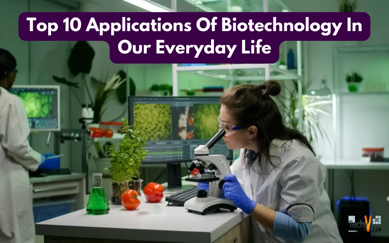 Top 10 Applications Of Biotechnology In Our Everyday Life
