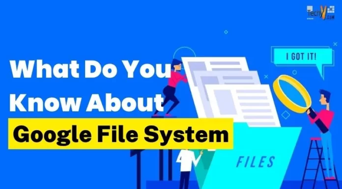 What Do You Know About Google File System