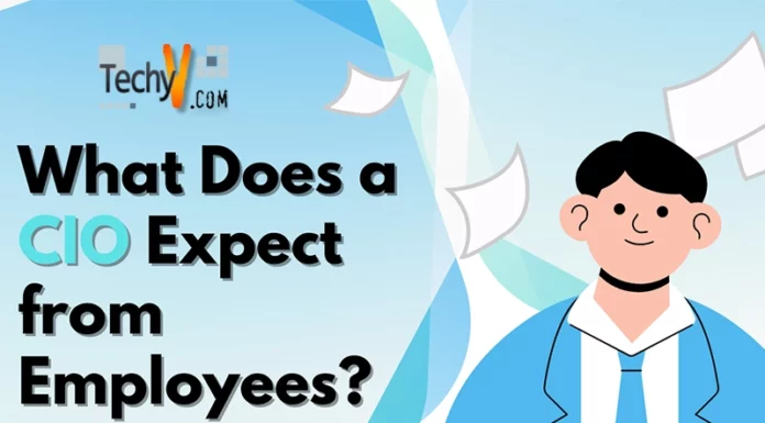 What Does a CIO Expect from Employees?