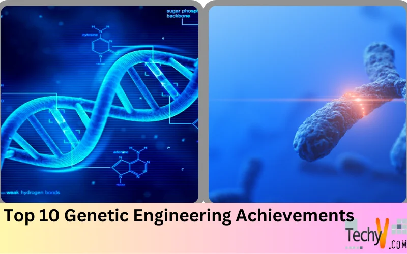 Top 10 Genetic Engineering Achievements