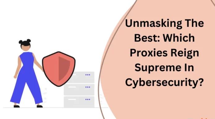 Unmasking The Best: Which Proxies Reign Supreme In Cybersecurity?