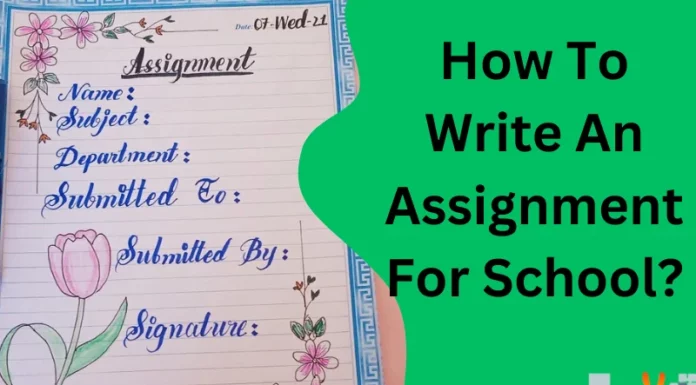 How To Write An Assignment For School?