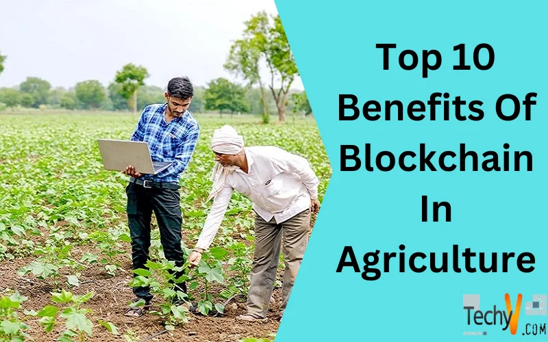 Top 10 Benefits Of Blockchain In Agriculture