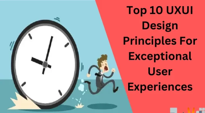 Top 10 UXUI Design Principles For Exceptional User Experiences