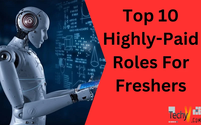 Top 10 Highly-Paid Roles For Freshers