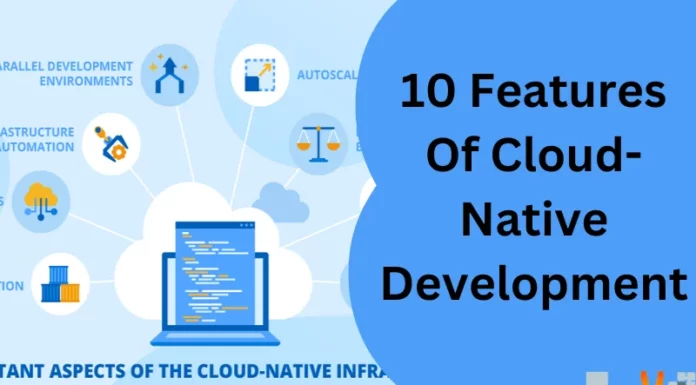 10 Features Of Cloud-Native Development