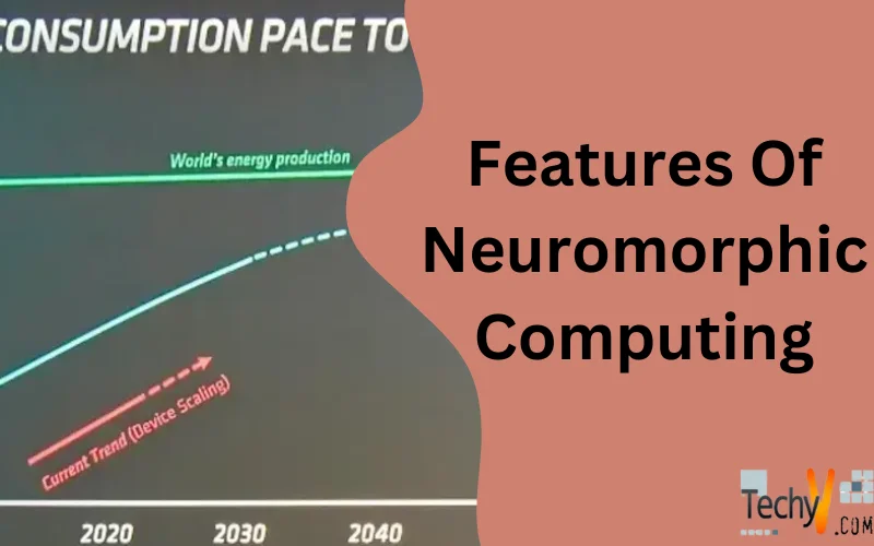 Features Of Neuromorphic Computing