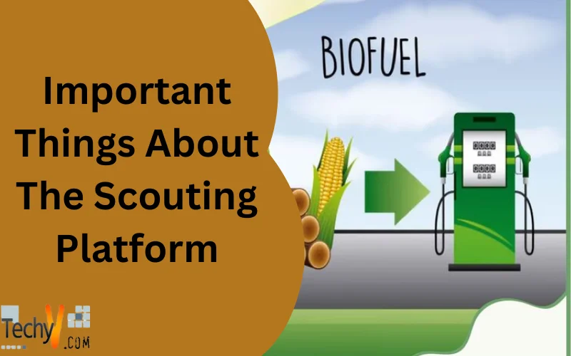 Important Things About The Scouting Platform