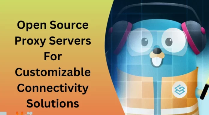 Open Source Proxy Servers For Customizable Connectivity Solutions