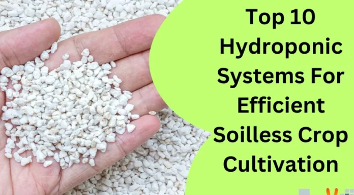 Top 10 Hydroponic Systems For Efficient Soilless Crop Cultivation