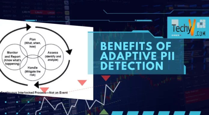 Benefits Of Adaptive PII Detection