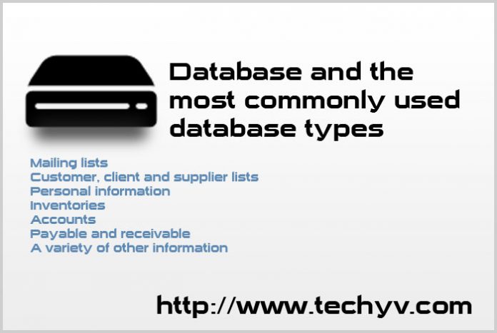 Database and the most commonly used database types - Techyv.com
