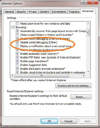 internet explorer script error