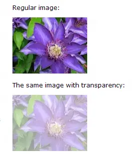 change the opacity of any image by add alpha filter attribute in cascading style sheet file