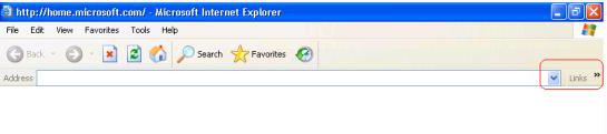go button missing in IE