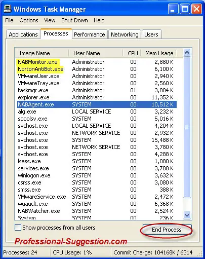 unable to terminate process access denied windows xp