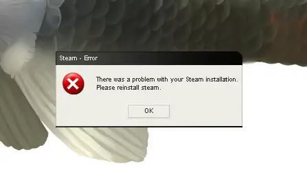 Steam - error