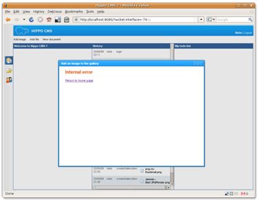 internal error in Hippo CMS’s Add Image dialog
