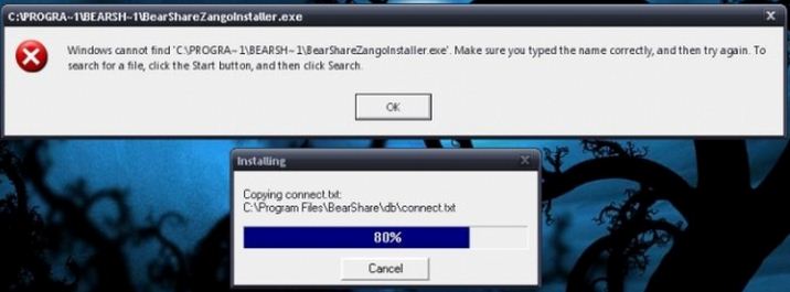 Windows cannot find C.PROGRA~1BEARSH~Zangoinstaller.exe'