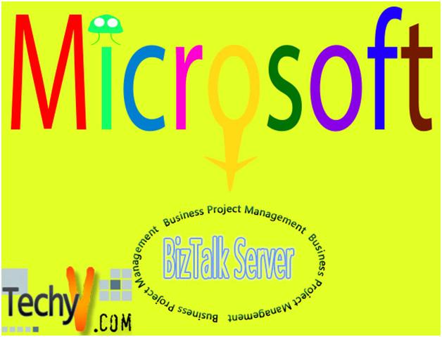 Integrated Microsoft BizTalk Server and its functions