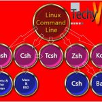 The Choices for Linux Command Line Interfaces