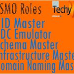FSMO - Flexible Single Master Operation