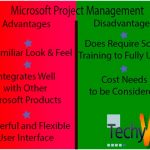 Advantages and Disadvantages of Microsoft Project Management