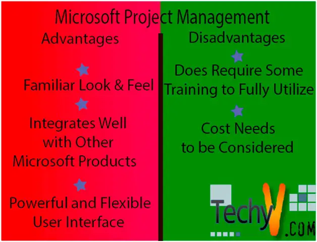 Advantages and Disadvantages of Microsoft Project Management